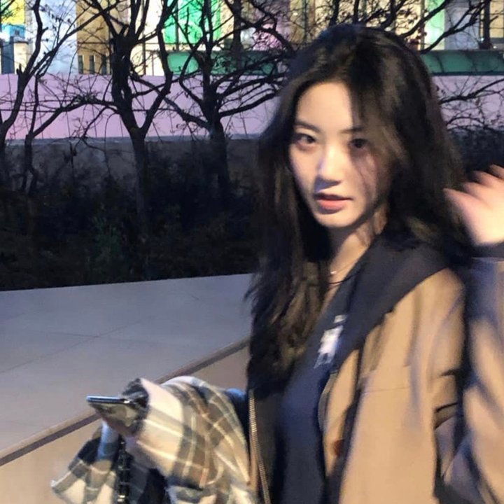 金车美人